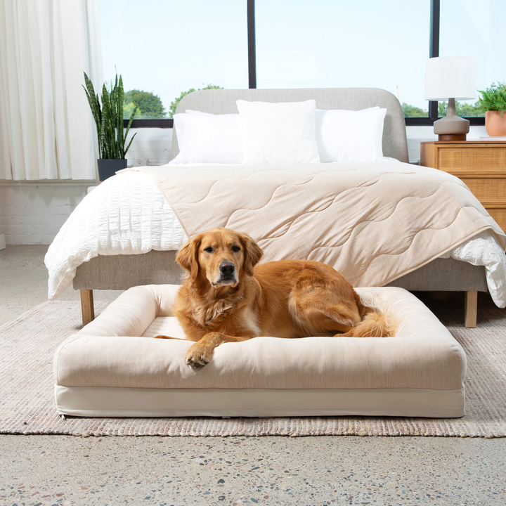 PupChill™ Cooling 4-Bolster Dog Bed - Arctic Sand - - Dog Beds by Paw.com