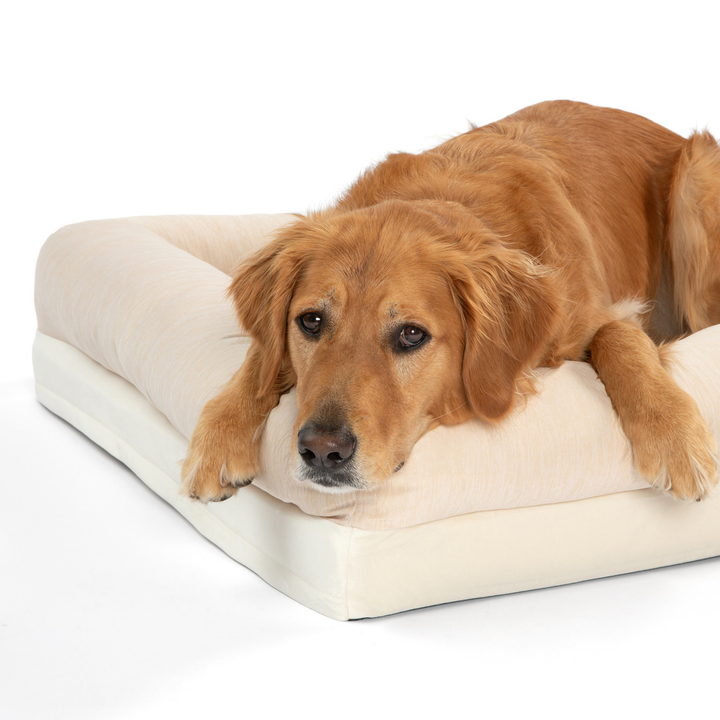 PupChill™ Cooling 4-Bolster Dog Bed - Arctic Sand - - Dog Beds by Paw.com
