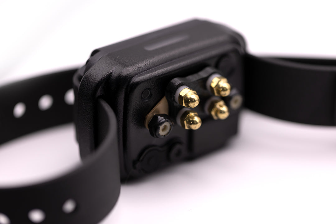 E-Collar CPAD-001 Short Point Comfort Pad - - by E-Collar Technologies