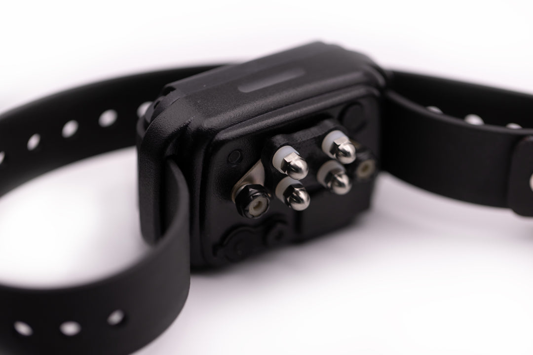 E-Collar CPAD-024 Titanium Short Point Comfort Pad - - by E-Collar Technologies