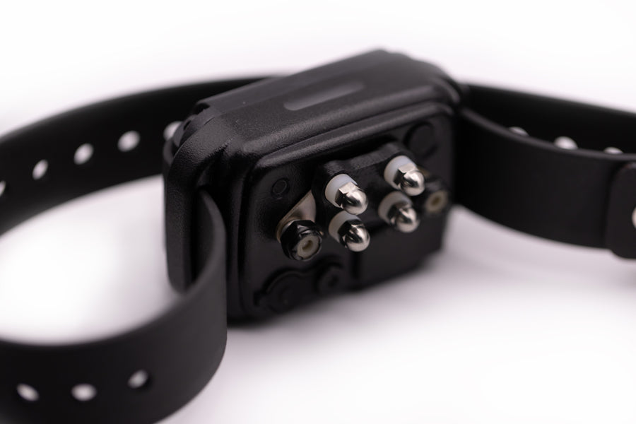 E-Collar CPAD-024 Titanium Short Point Comfort Pad - - by E-Collar Technologies