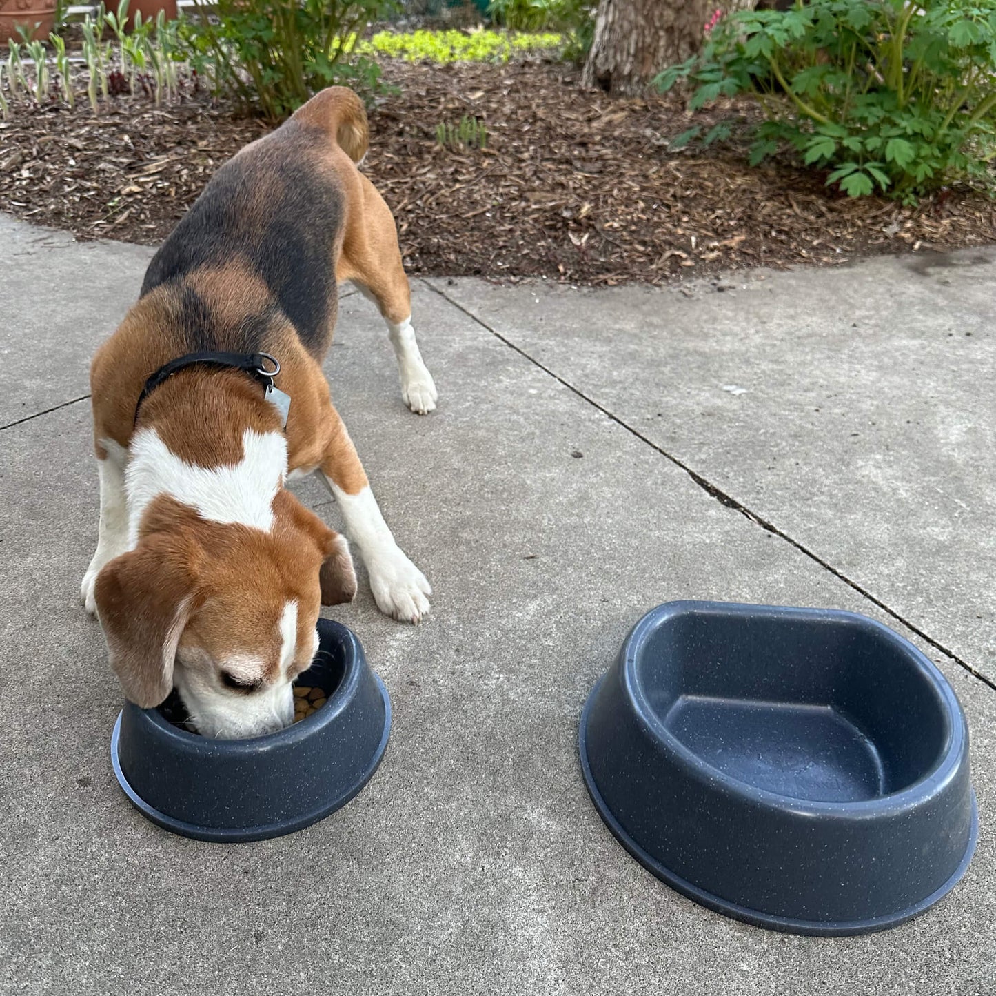 Ruff Land Dog Bowl