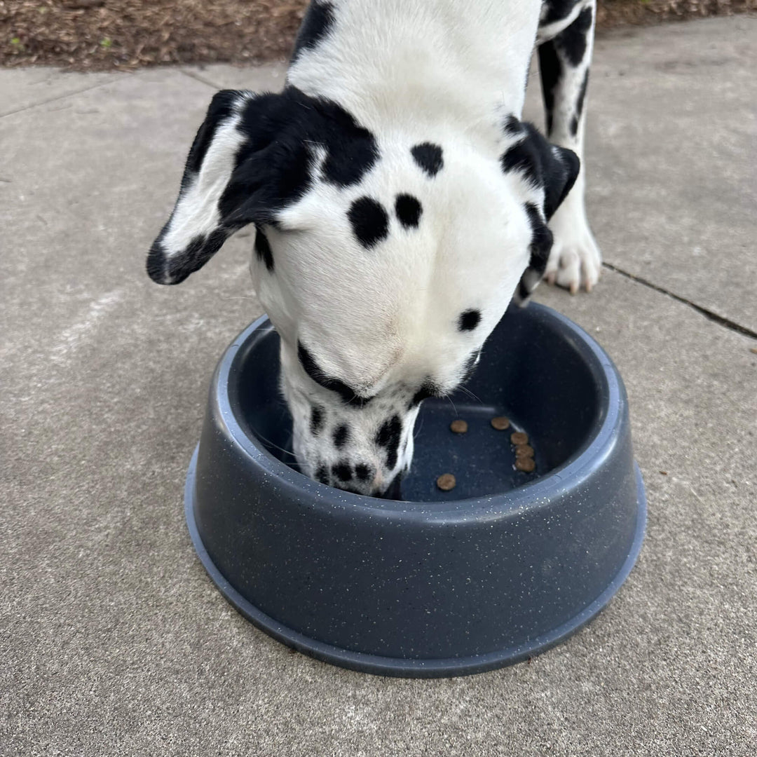 RuffLand Dog Bowl - - Bowls by Ruff Land Performance Kennels