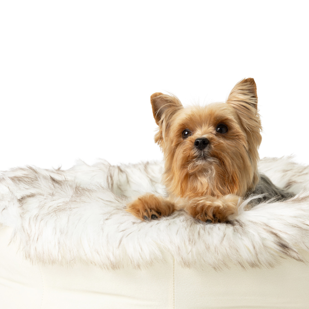 PupPouf™ Faux Fur Donut Dog Bed - White with Brown Accents - - Dog Beds by Paw.com