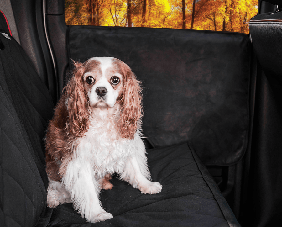 PupProtector™ Car Door Guard (2 pack) - Universally Compatible Car Door Guard - Vehicle Pet Barriers by Paw.com