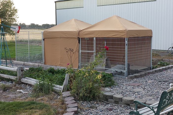K9 Kennel Store Heavy Duty Canvas Kennel Top W/Roof Bars - - Dog Kennels & Runs Accessories by K9 Kennel Store