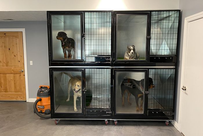 K9 Kennel Store Quick N Clean Double Stack Galvanized Kennel - Double Units - Cage Banks by K9 Kennel Store