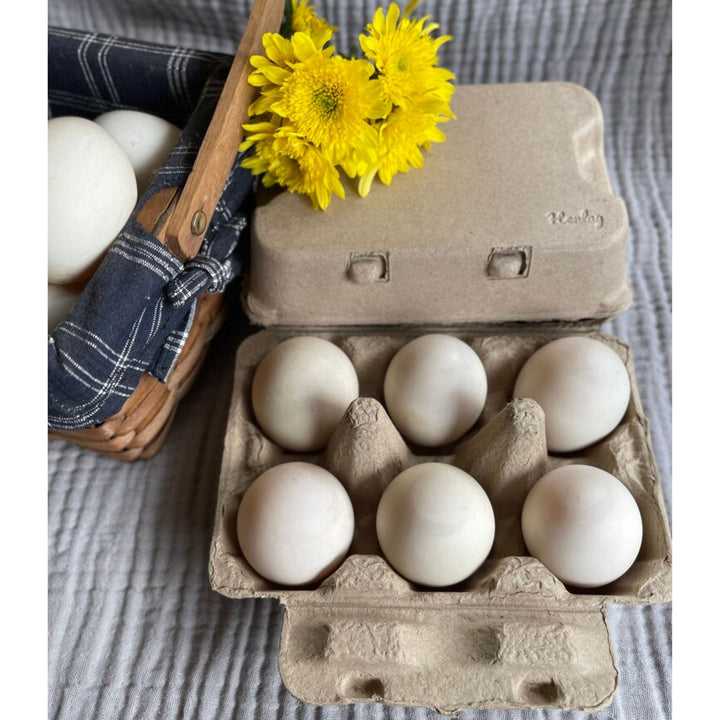 Henlay Duck Egg Cartons - Holds Half Dozen Jumbo Eggs- Blank Flat Top, 2 colors, 20 or 100 - - Egg Cartons by My Pet Chicken