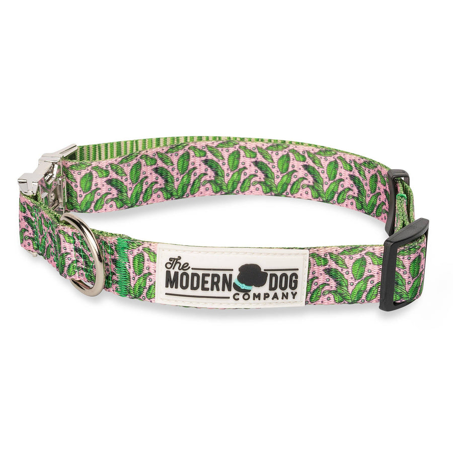 The Modern Dog Company - Pink Tropics Collar - - by The Modern Dog Company Store