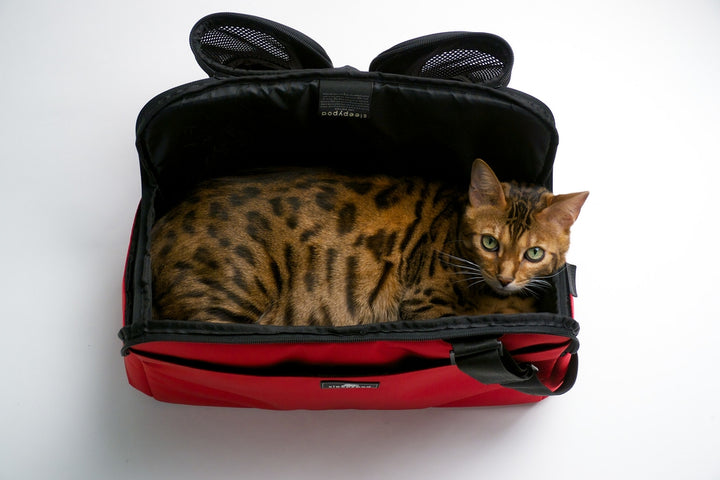Sleepypod Atom Pet Carrier - - Pet Carrier by Sleepypod