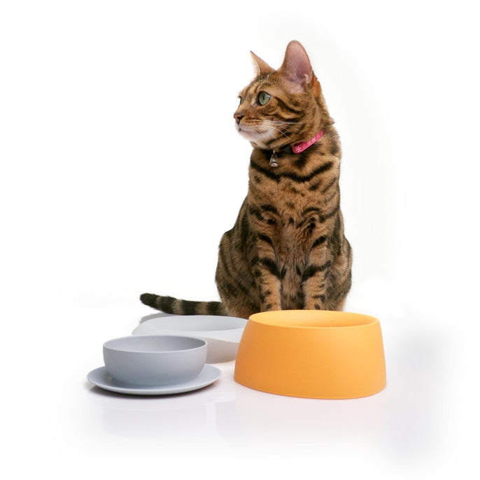 Sleepypod Yummy Travel Bowl - - Bowl by Sleepypod