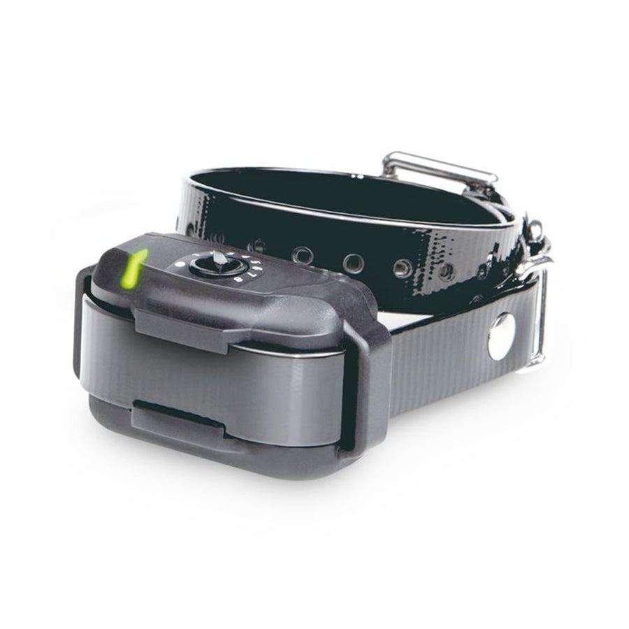 Dogtra Extra Collar for eF3500 - - Training collars by Dogtra