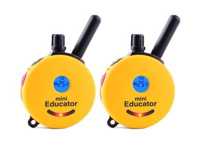 E-Collar ET 300/302 2T Transmitters - - E-Collar Transmitter by E-Collar Technologies