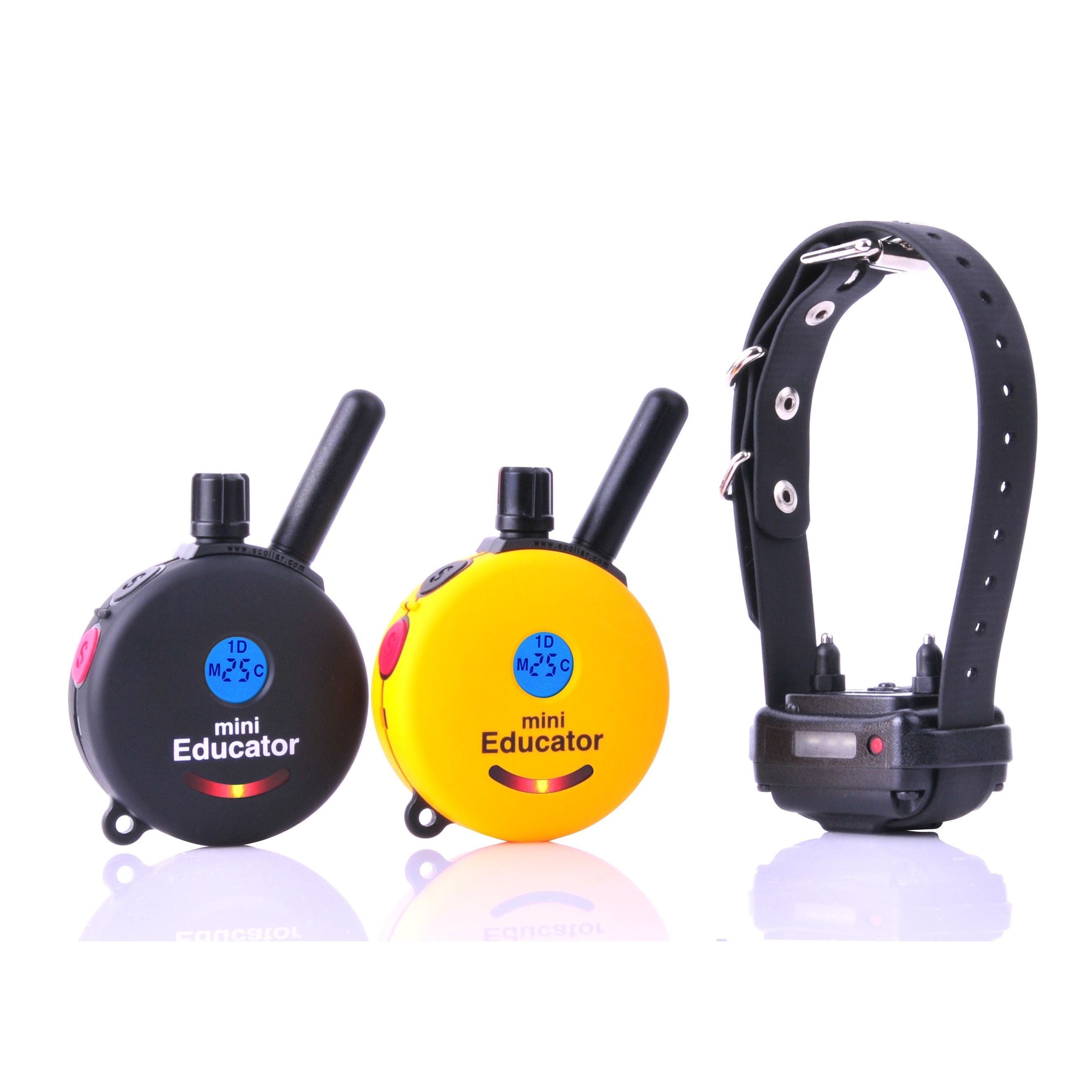 E-Collar ET-300 2T Mini Educator with 2Transmitters