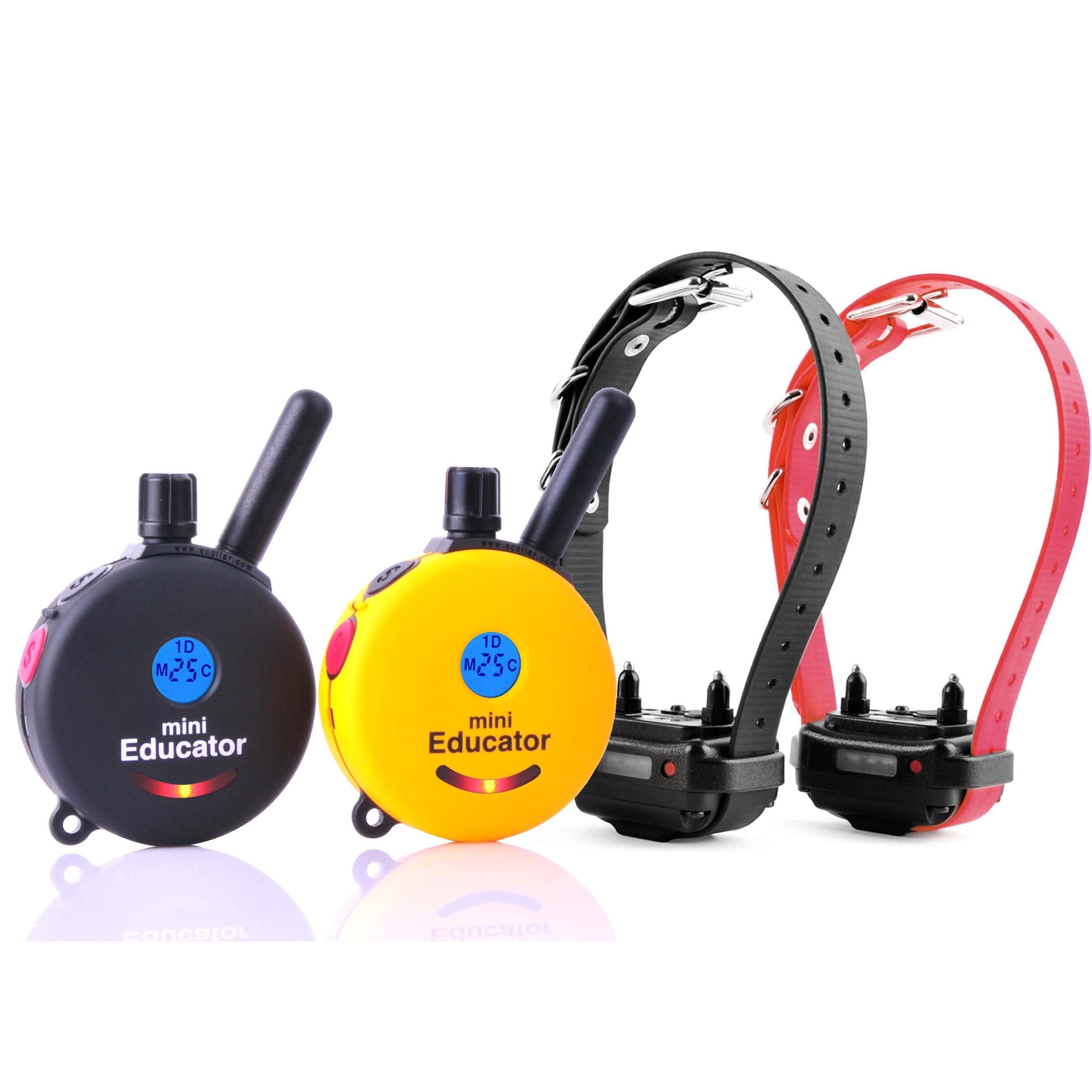 Educator Mini Dog Mini Educator Tone Vibration Tone Educator Pro Dog 1/2 Mile Educator Mini Dog Mini Educator Tone Vibration Tone Educator Pro Dog 1/2 Mile