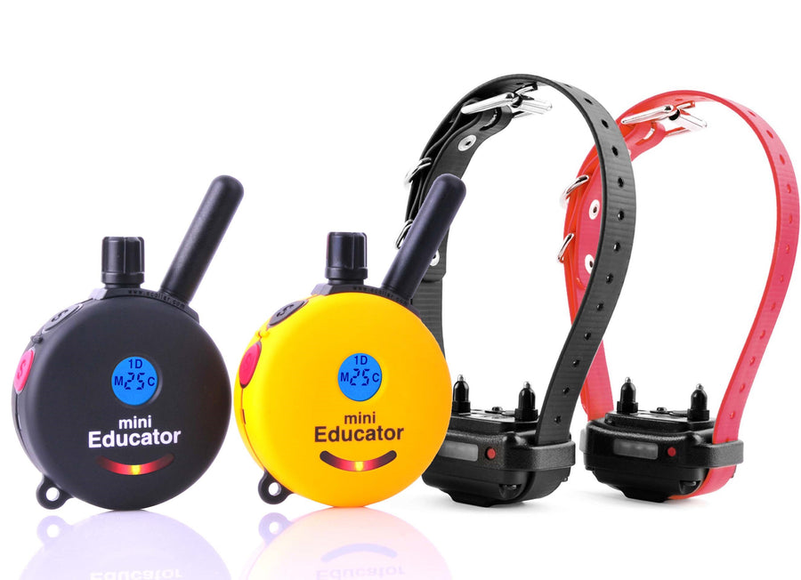 E-Collar ET-302 2T 2-Dog Mini Educator with 2 Transmitters - - Training collars by E-Collar Technologies