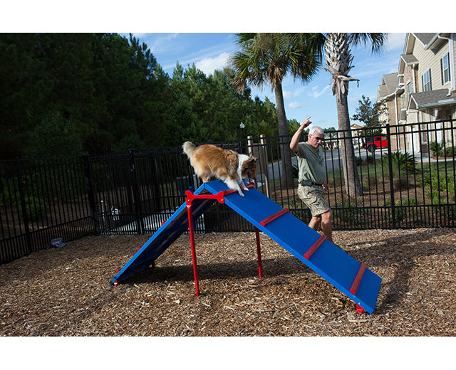 BarkPark King of The Hill - - by BarkPark