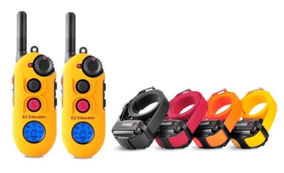 E-Collar EZ-904 2T 4-Dog Easy Educator with 2 Transmitters - - Training collars by E-Collar Technologies