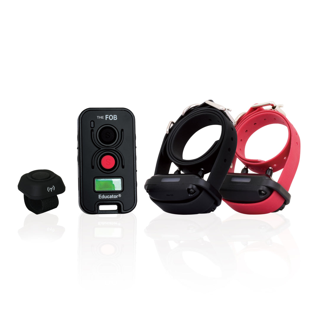 E-Collar FE-560 FOB Educator - 2 Dog w button - Training collars by E-Collar Technologies