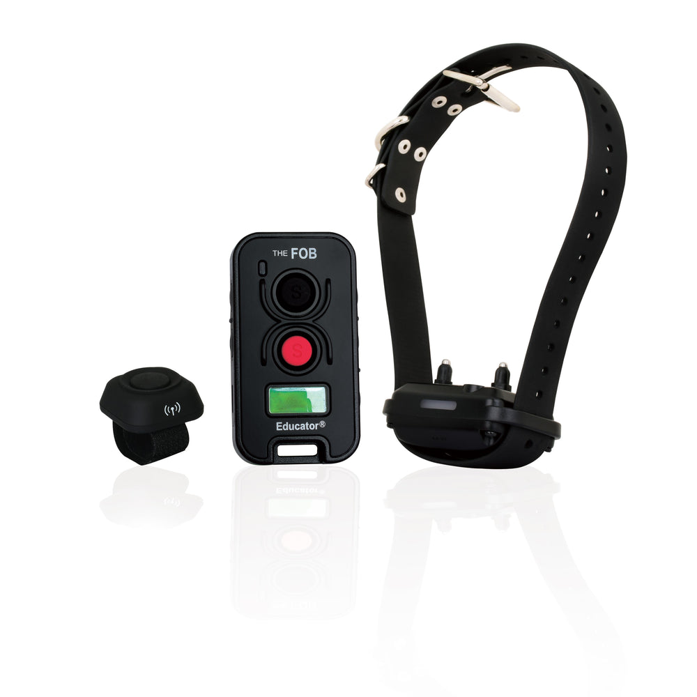 E-Collar FE-580 FOB Educator - 1 Dog w button - Training collars by E-Collar Technologies