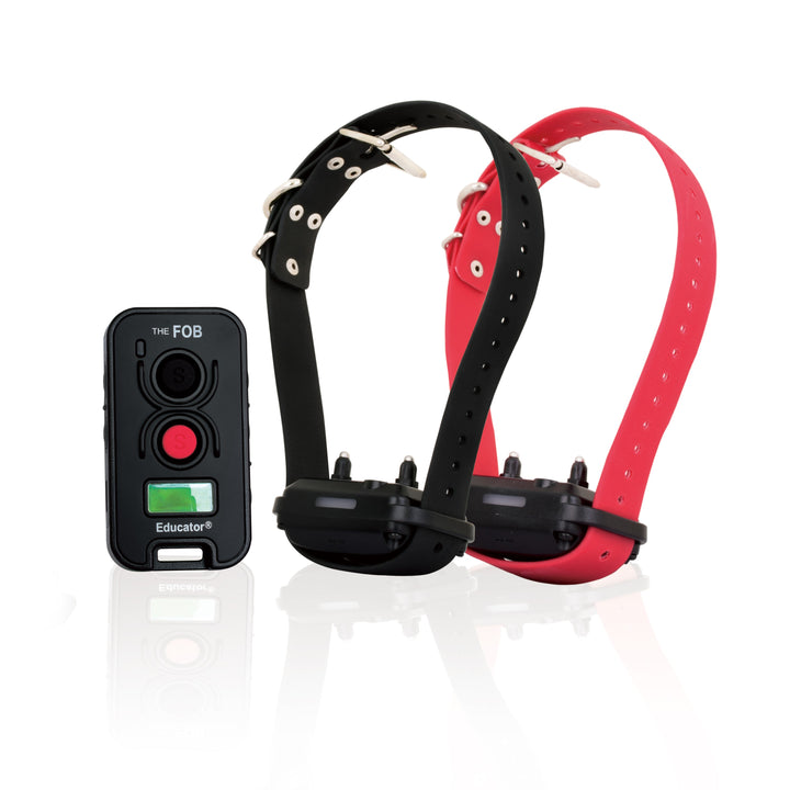 E-Collar FE-580 FOB Educator - 2 Dog - Training collars by E-Collar Technologies