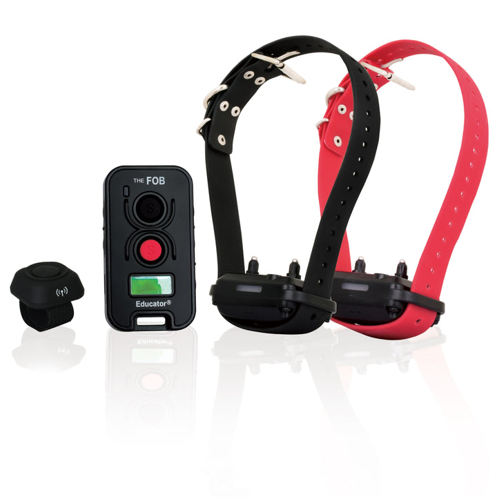 E-Collar FE-580 FOB Educator - 2 Dog w button - Training collars by E-Collar Technologies