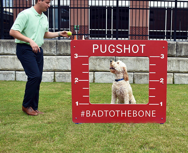 BarkPark Pug Shot - - by BarkPark