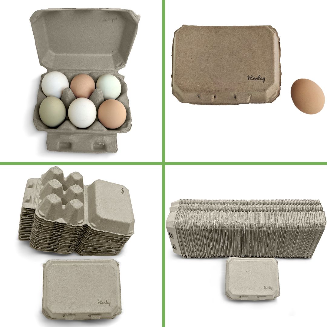 Half Dozen Egg Cartons - Henlay Blank Flat Top, Six Pack, 2 colors, 20 or 100 - Tan Egg Cartons - Egg Cartons by My Pet Chicken