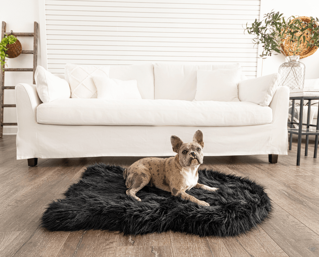 PupRug by Paw.com® Faux Fur Orthopedic Dog Bed - Curve Midnight Black - Medium (40" L x 25" W) - Dog Beds by Paw.com