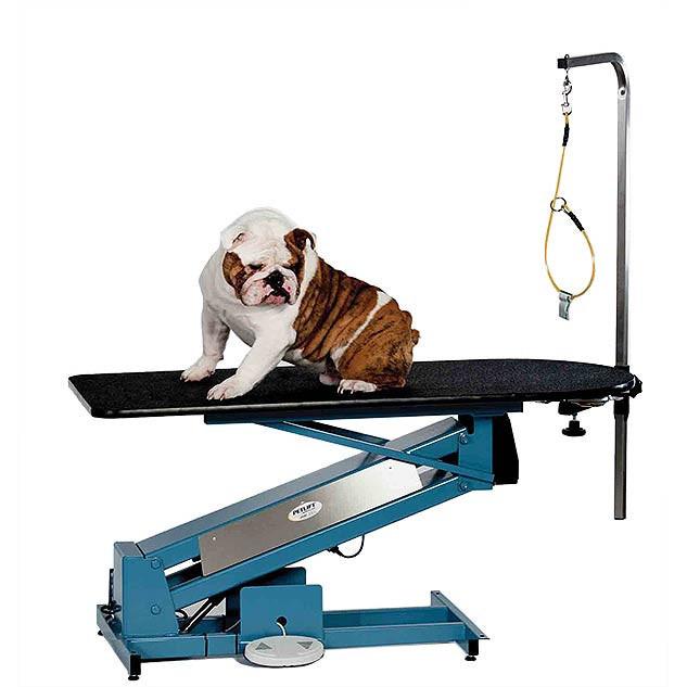 Petlift MasterLift LowRider RP Electric Grooming Table with Rotating Post - - Grooming Tables by Petlift