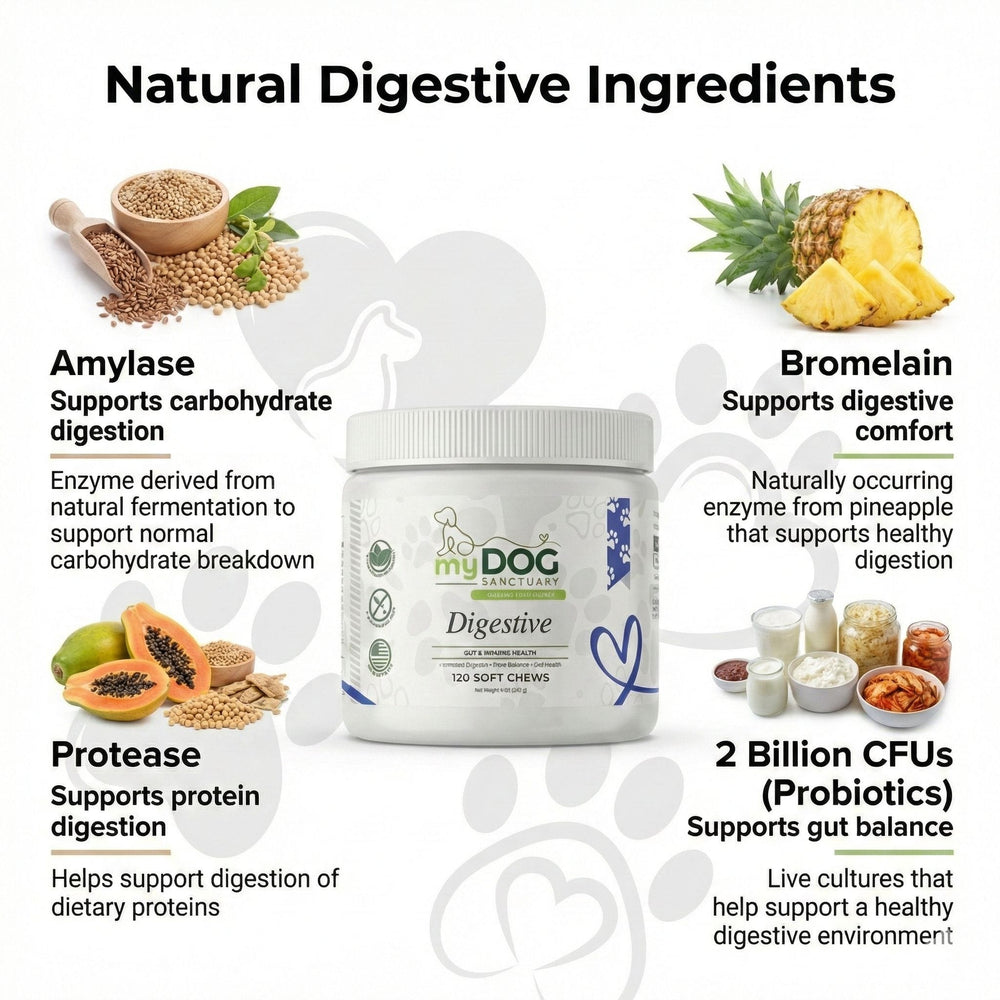 Gut Garden Digestive Support Chews - - by My Dog Sanctuary