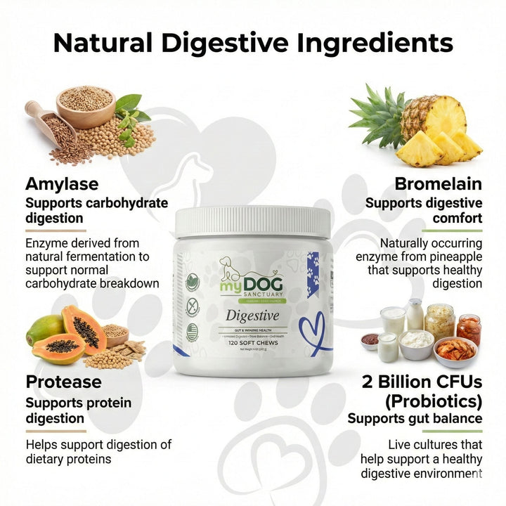 Gut Garden Digestive Support Chews - - by My Dog Sanctuary