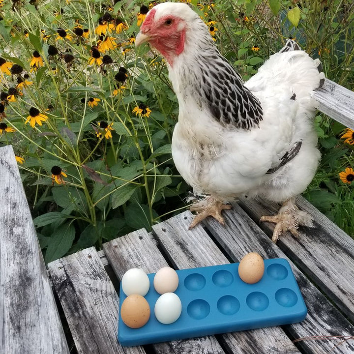 Henlay Decorative Egg Storage Tray: Wooden Egg Holder for Refrigerator, Kitchen Counter, Serving, or Display - - Home Decor by My Pet Chicken