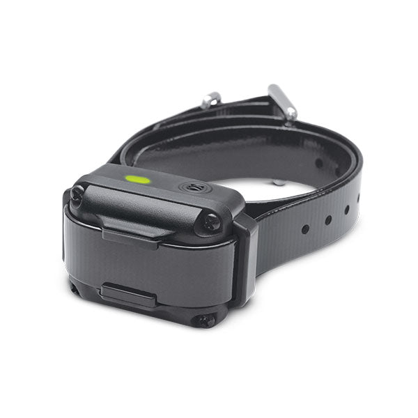 IQ Vibe Vibration Only Training Collar - - Training collars by Dogtra