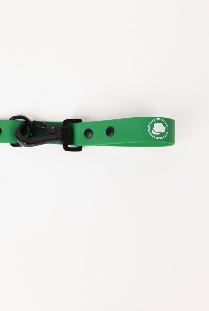 The Modern Dog Company - Clover Green Leash - - by The Modern Dog Company Store