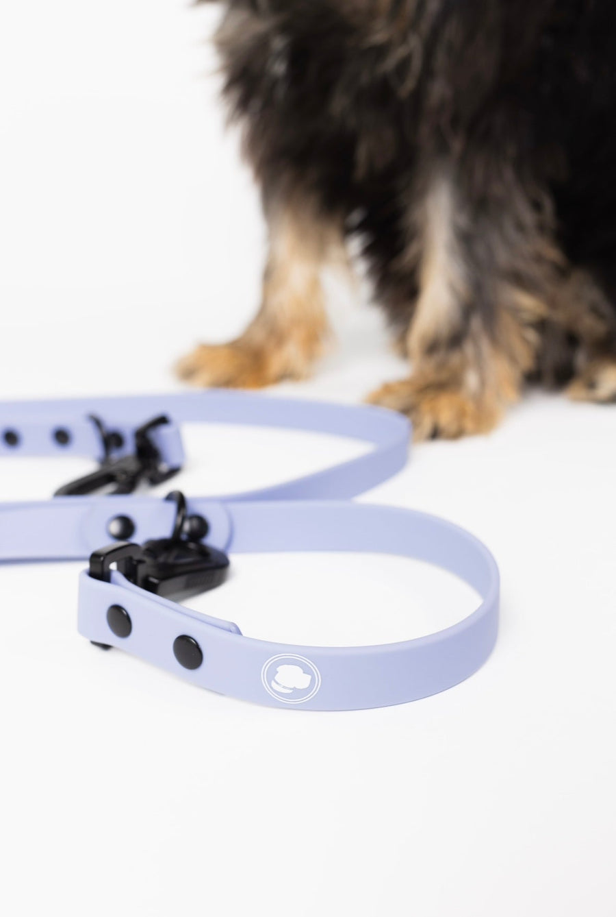 The Modern Dog Company - Lavender Purple Adjustable Leash - - by The Modern Dog Company Store