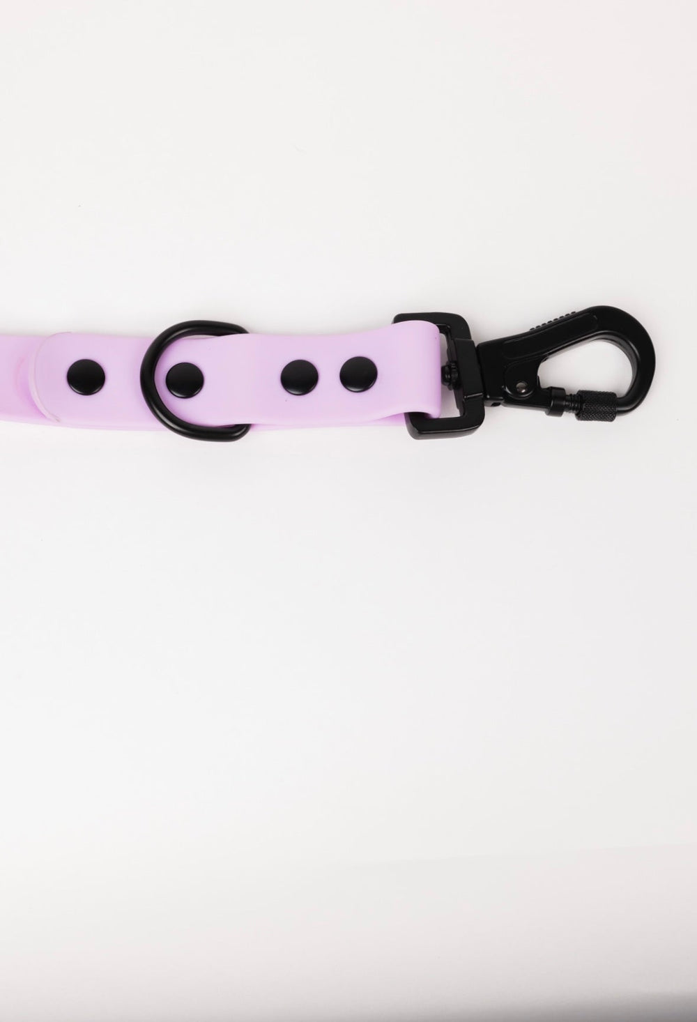 The Modern Dog Company - Blush Pink Leash - - by The Modern Dog Company Store
