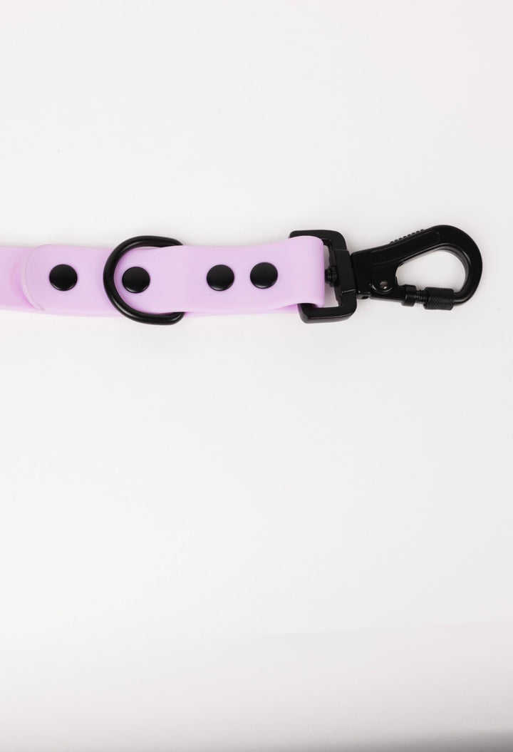 The Modern Dog Company - Blush Pink Leash - - by The Modern Dog Company Store