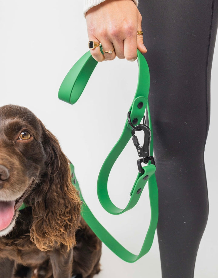 The Modern Dog Company - Clover Green Leash - - by The Modern Dog Company Store