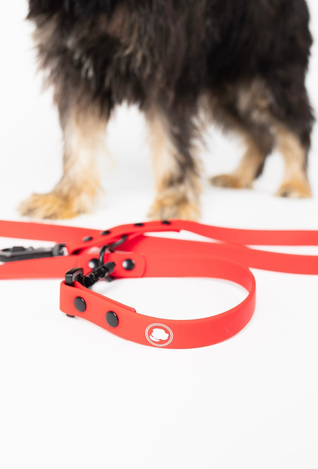 The Modern Dog Company - Ruby Red Adjustable Leash - - by The Modern Dog Company Store