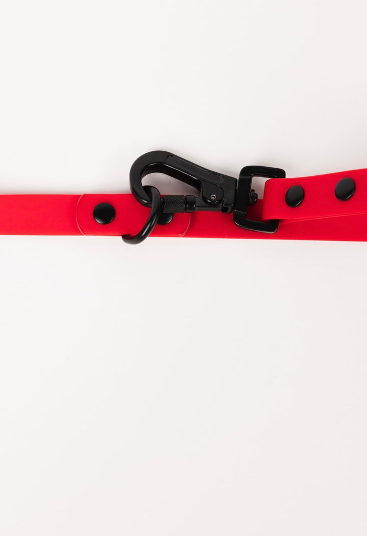 The Modern Dog Company - Ruby Red Adjustable Leash - - by The Modern Dog Company Store