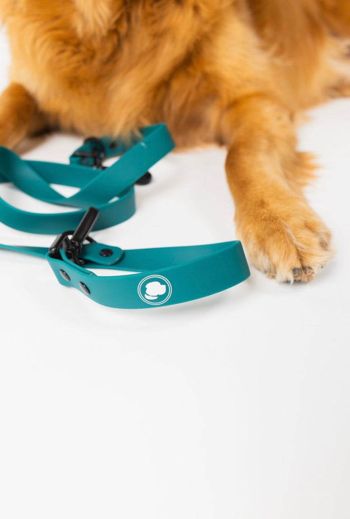 The Modern Dog Company - Forest Green Adjustable Leash - - by The Modern Dog Company Store