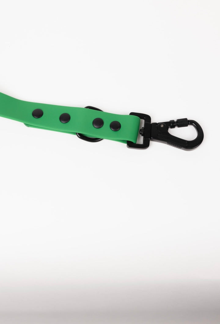 The Modern Dog Company - Clover Green Leash - - by The Modern Dog Company Store