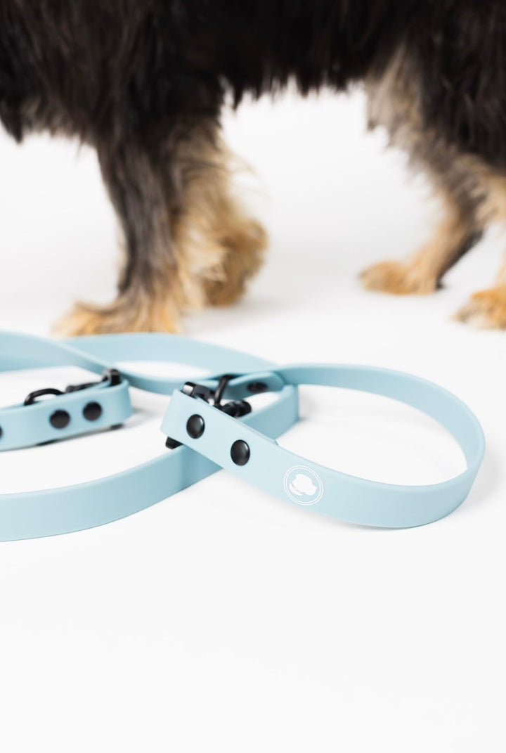 The Modern Dog Company - Dusty Blue Adjustable Leash - - by The Modern Dog Company Store
