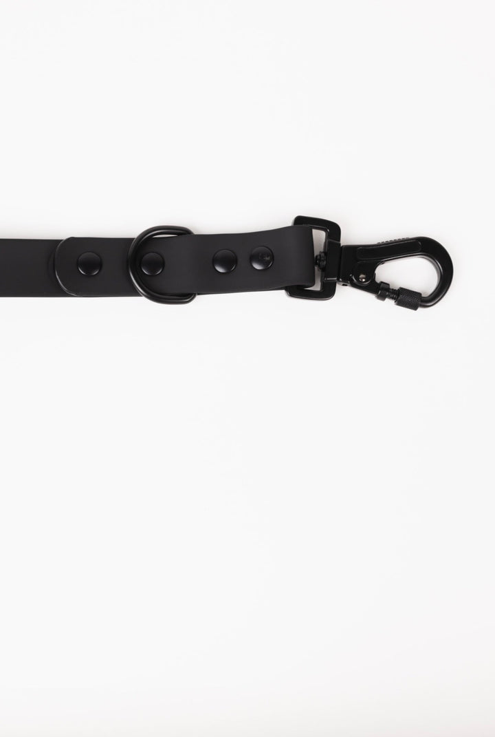 The Modern Dog Company - Better in Black Leash - - by The Modern Dog Company Store