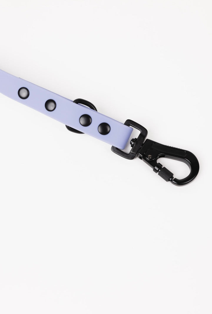 The Modern Dog Company - Lavender Purple Adjustable Leash - - by The Modern Dog Company Store