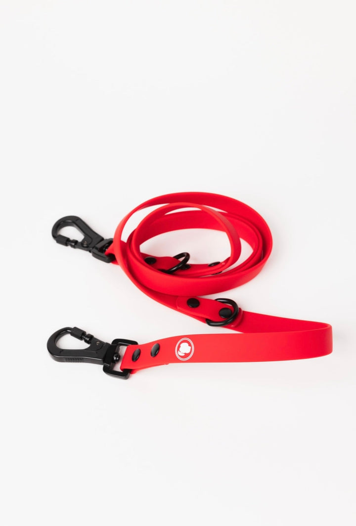 The Modern Dog Company - Ruby Red Adjustable Leash - - by The Modern Dog Company Store