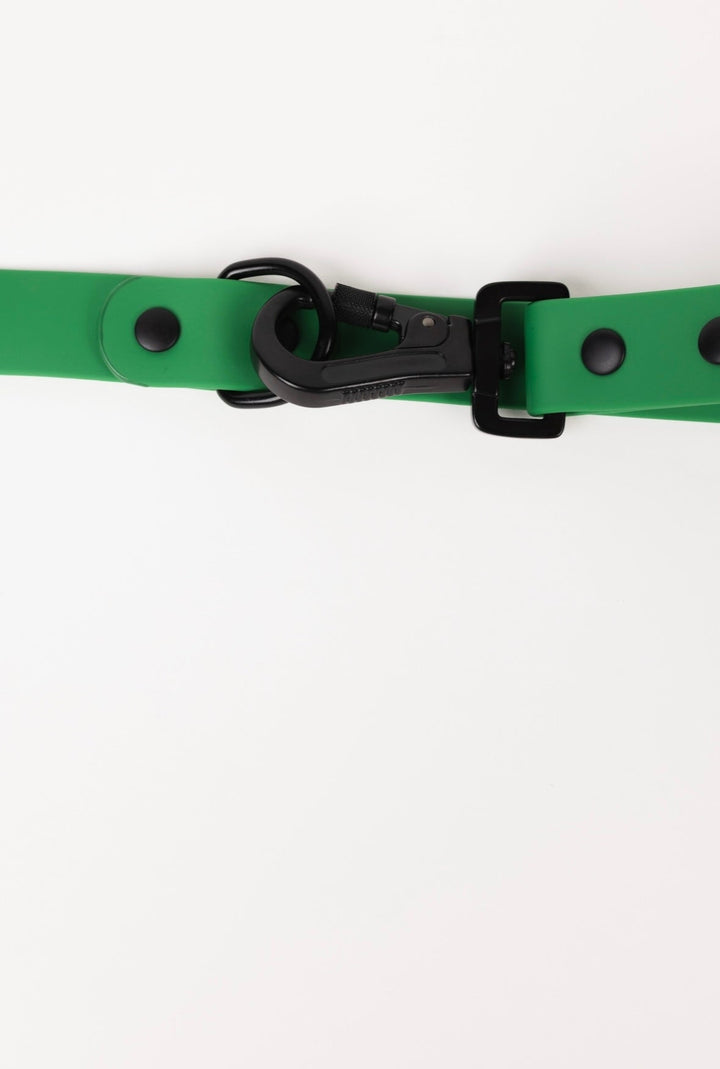 The Modern Dog Company - Clover Green Leash - - by The Modern Dog Company Store