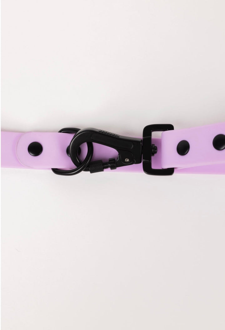 The Modern Dog Company - Blush Pink Leash - - by The Modern Dog Company Store