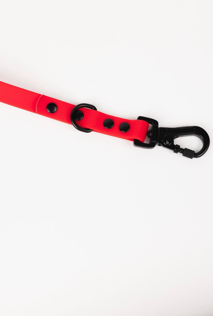 The Modern Dog Company - Ruby Red Adjustable Leash - - by The Modern Dog Company Store